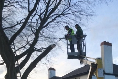 cherry-picker-for-tree-pruning-and-shaping