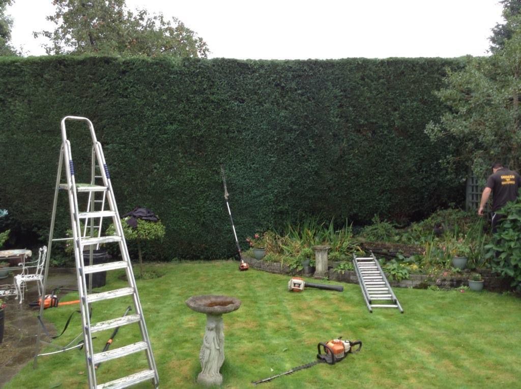 Adamsdown hedge trimming project completed