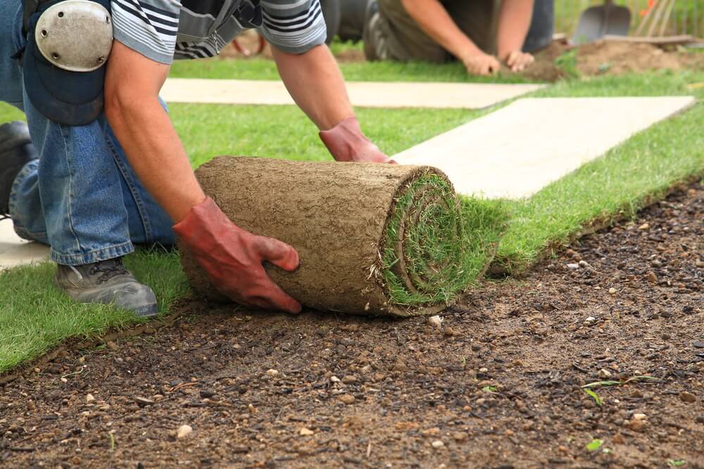 Image of sod being laid as part of a new lawn surface