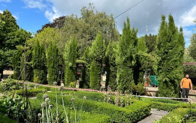 The Art of Tree Shaping for Impressive Landscape Aesthetics: A Cardiff Gardener’s Guide